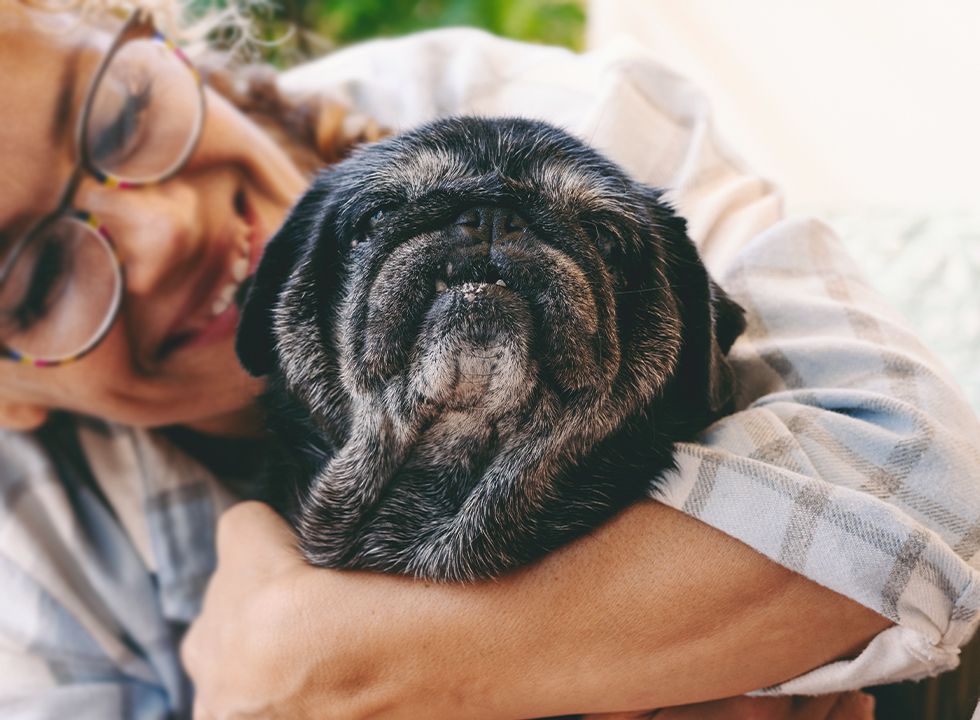 Happy woman holding her old pug dog