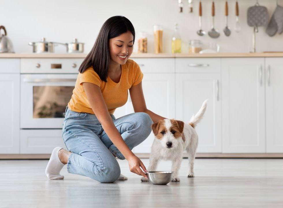 Woman in yellow shirt feeding her small dog in her home kitchen with care and love.