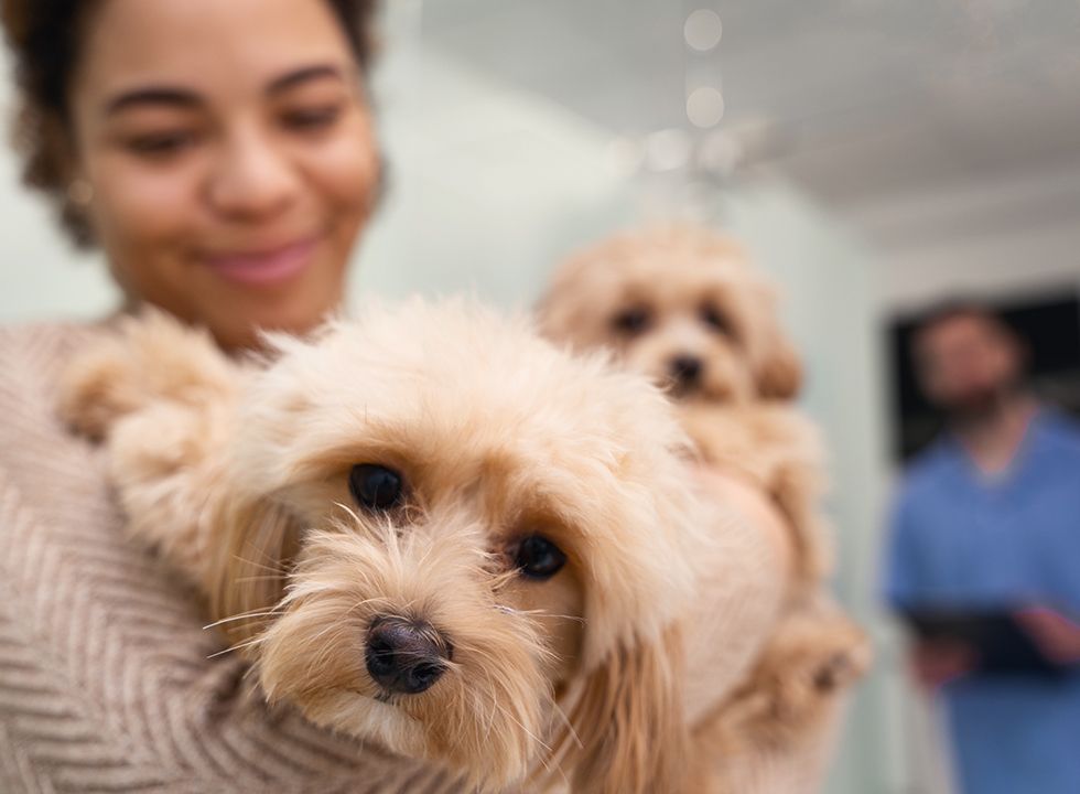 Woman leaving her dogs at the vet